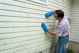 Best Custom Siding Design  in Dekal, IL